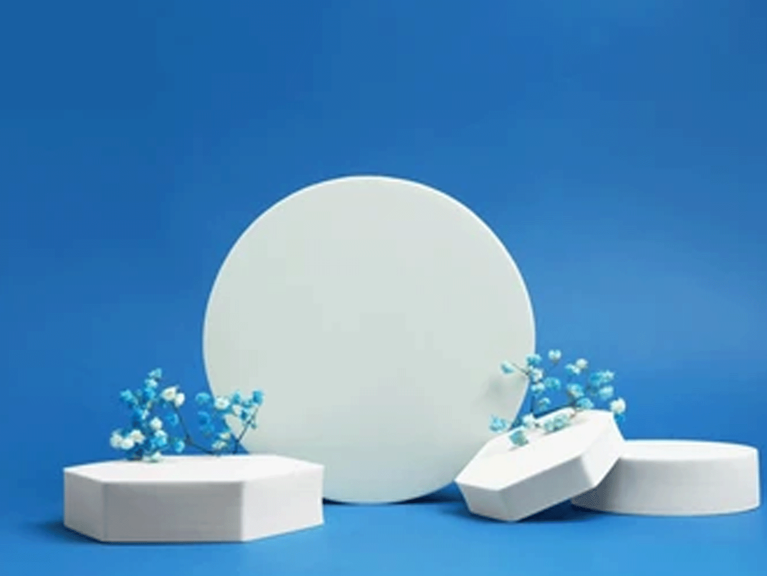 Product Photography Cylinder diameter 10cm and thickness 3cm